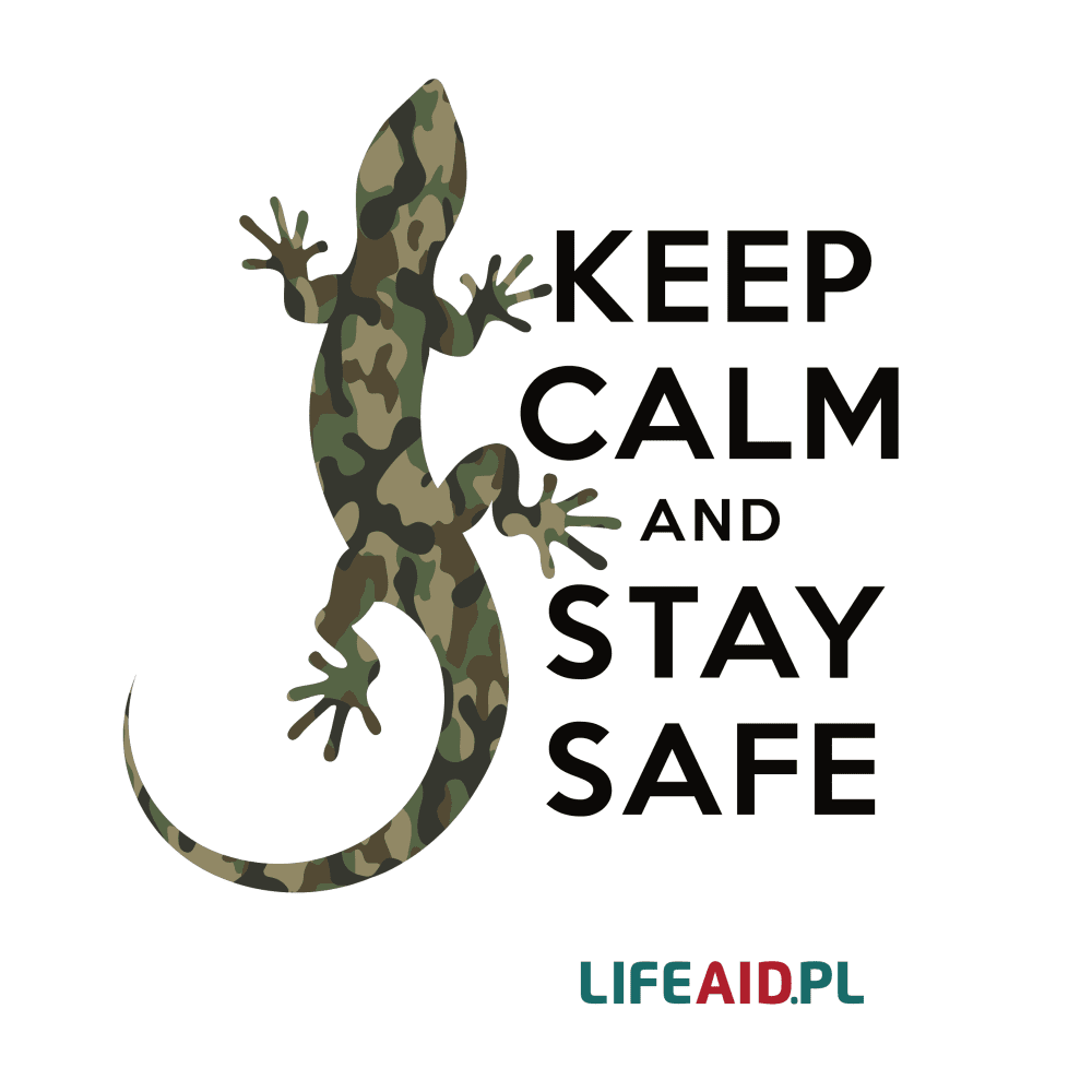 keep calm and stay safe - hasżło przewodnie LifeAid.pl