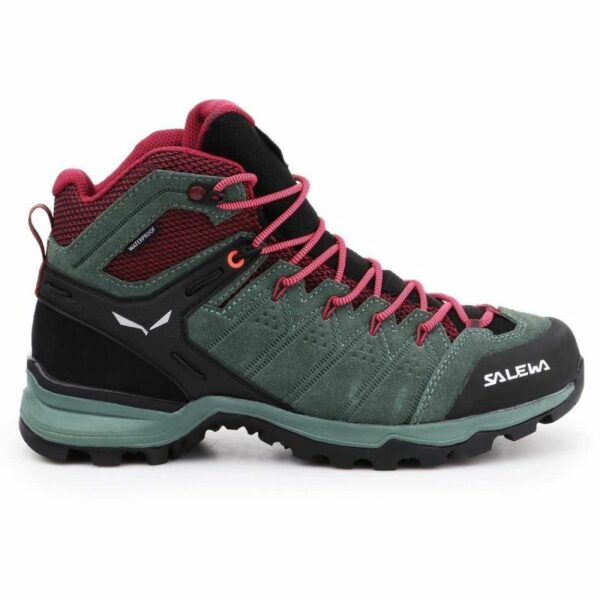 Salewa-10