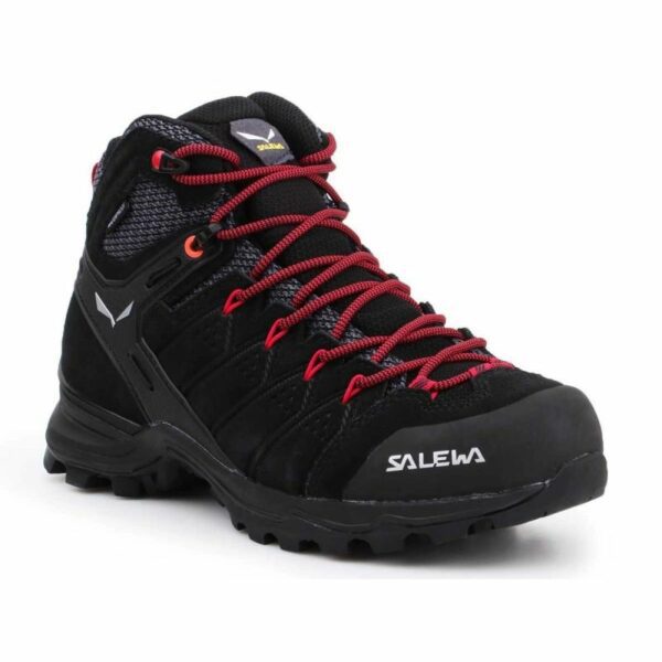 Salewa-2