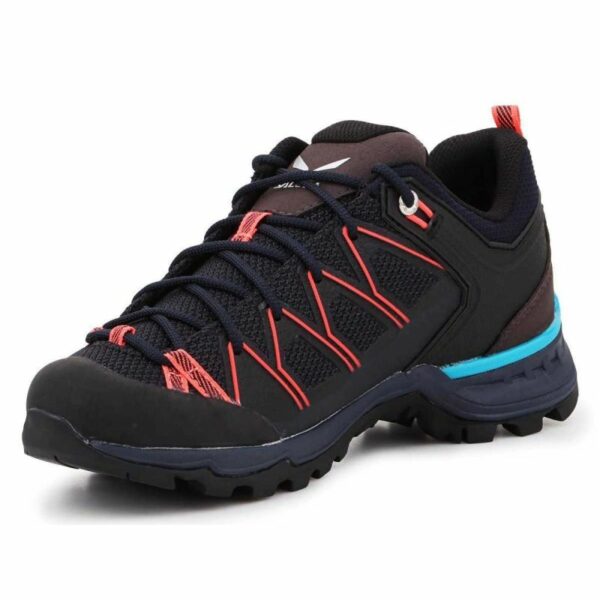 Salewa-4