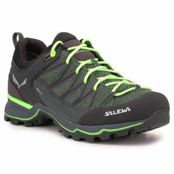 Salewa-1