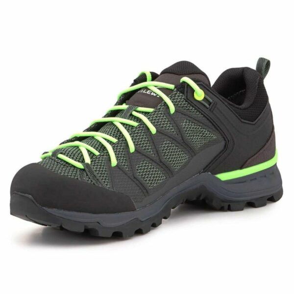 Salewa-4