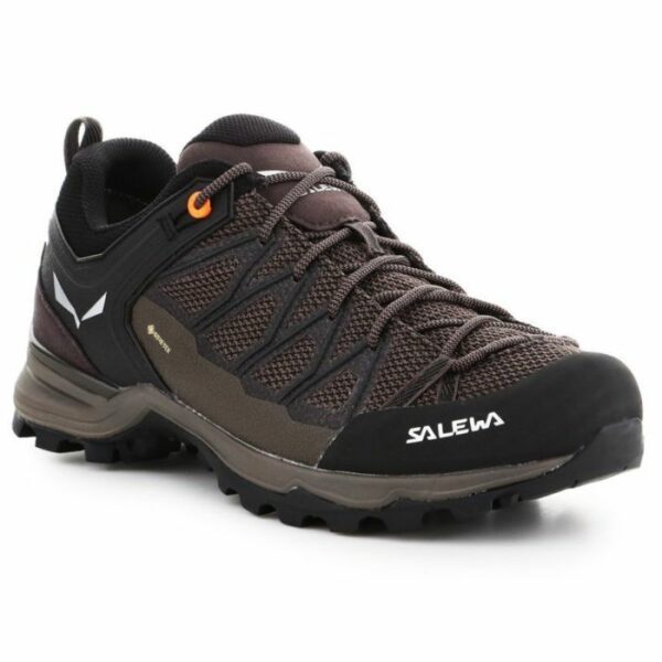 Salewa-1