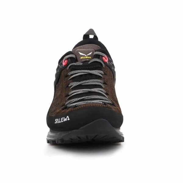 Salewa-3