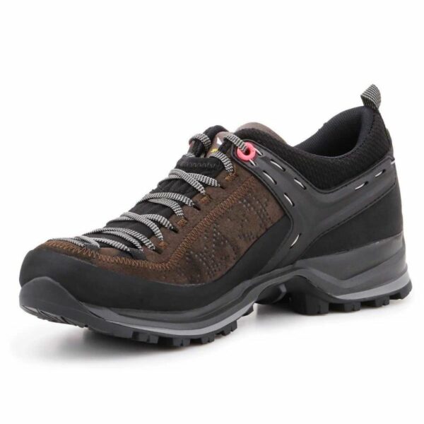 Salewa-4