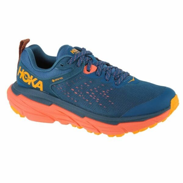 Hoka-1