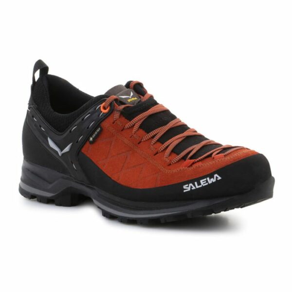 Salewa-1