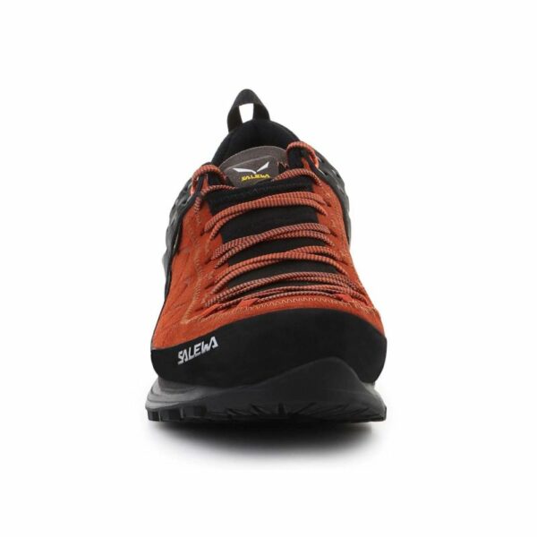 Salewa-4